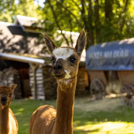 מלון Am Buehl אייבנשטוק