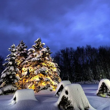 Am Buehl Ξενοδοχείο Eibenstock