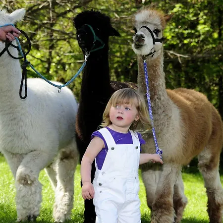 Am Buehl Ξενοδοχείο 3*