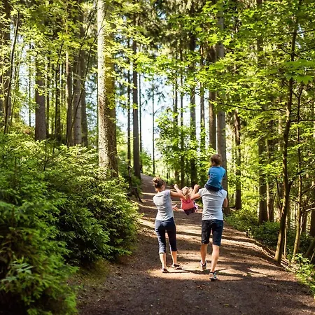 מלון Am Buehl 3*