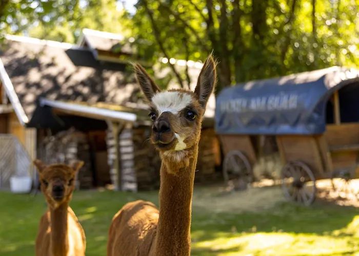 Szálloda Am Buehl Eibenstock