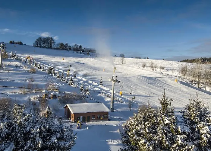 Am Buehl فندق 3*