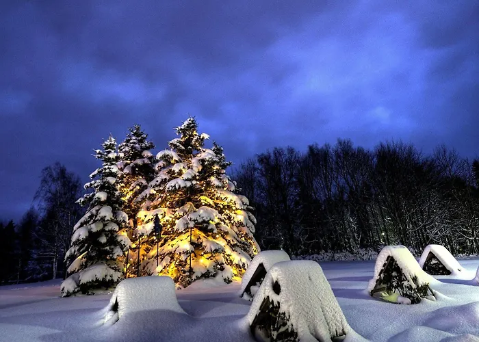 Am Buehl Szálloda Eibenstock